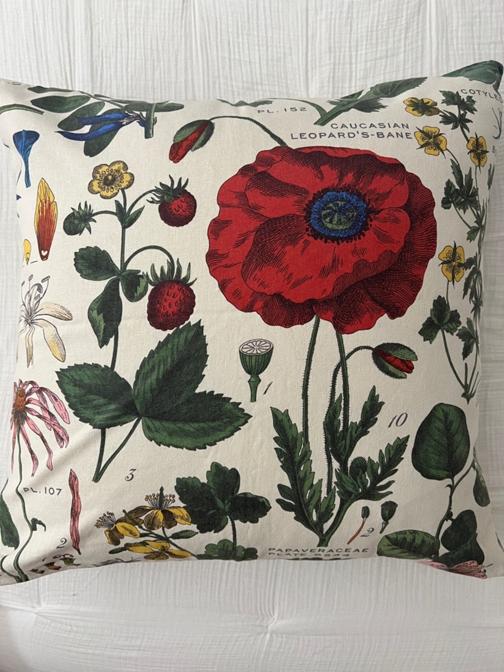 Set of 2 Pottery Barn Botanical Red Poppy Accent Pillow Covers 24 x 24